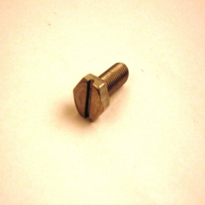 Picture of SHOWER SCREW